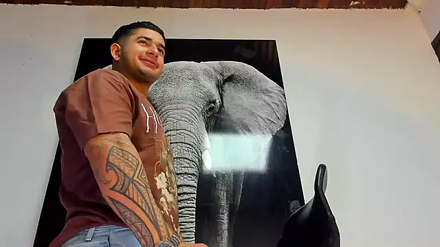 king falconer online show from October 29, 2:47 am