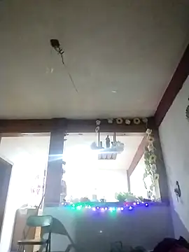 perrotjuui97 online show from November 15, 1:47 am