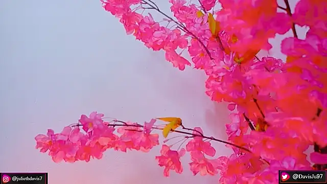 JulietaDavis online show from May 21, 9:38 am