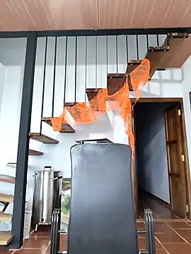 Snapshot of Hiroshi_Shen chatting on November 5, 11:21 am Hiroshi Shen online show from November 5, 11:21 am