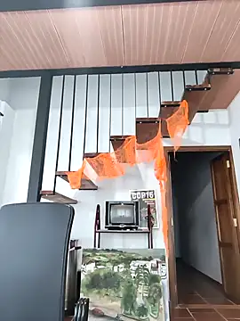 Snapshot of Hiroshi_Shen chatting on November 8, 11:21 am Hiroshi Shen online show from November 8, 11:21 am