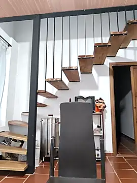 Snapshot of Hiroshi_Shen chatting on November 17, 11:27 am Hiroshi Shen online show from November 17, 11:27 am