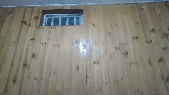 Roselingalvis13 online show from October 30, 3:19 am