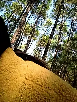 chengcheng12 online show from November 25, 1:38 am