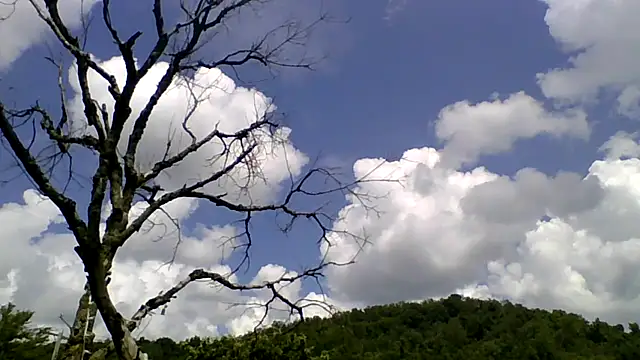 ovmilf online show from August 5, 4:54 pm