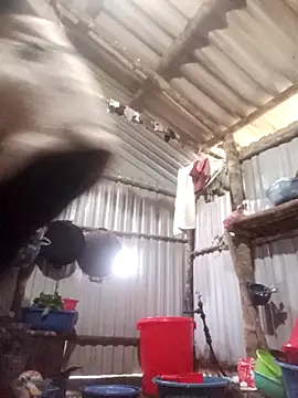 Snapshot of jienrrr chatting on December 17, 12:16 am jienrrr online show from December 17, 12:16 am