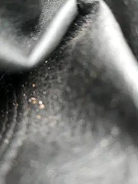 legaros online show from October 19, 8:04 am