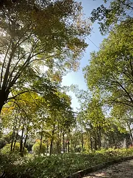 Xiao-meng66 online show from November 14, 3:38 am