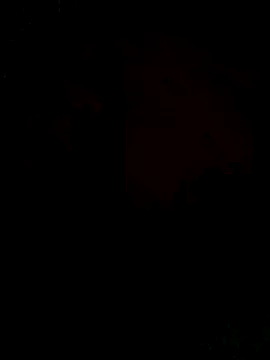 Ori-Lynk online show from December 1, 6:29 am