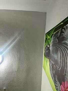 Snapshot of aavrdvh33 chatting on February 3, 10:26 pm aavrdvh33 online show from February 3, 10:26 pm