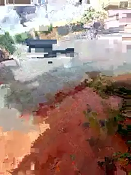 jeff pepoer online show from January 7, 3:36 pm