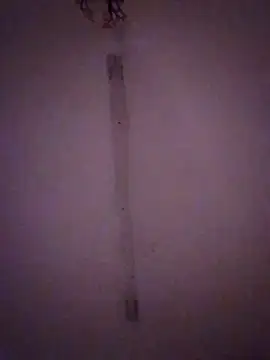 Snapshot of Bebita-zmp chatting on March 28, 2:11 am Bebita-zmp online show from March 28, 2:11 am