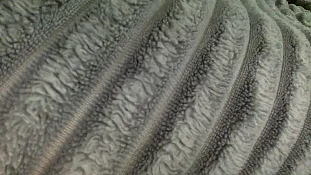 Snapshot of slutzilly chatting on March 13, 3:29 pm slutzilly online show from March 13, 3:29 pm