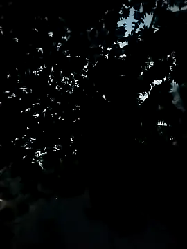 Girls pussy rider online show from November 24, 12:38 pm