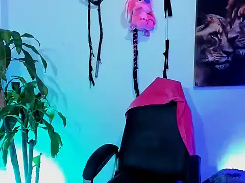 zeus 7777 online show from September 18, 8:27 am