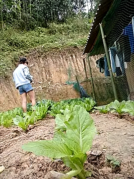 daisy will online show from January 19, 3:21 am