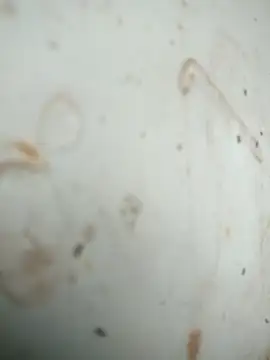 Snapshot of Mounstro3 chatting on November 28, 4:42 pm Mounstro3 online show from November 28, 4:42 pm