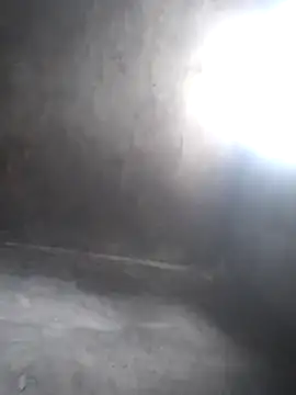 Snapshot of Chaotam1 chatting on November 7, 7:30 am Chaotam1 online show from November 7, 7:30 am