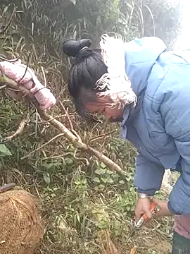 Chaotam1 online show from February 3, 8:19 am