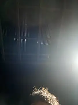 Snapshot of usu0130 chatting on October 16, 2:07 pm usu0130 online show from October 16, 2:07 pm