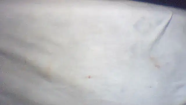 Snapshot of pietje1991 chatting on February 25, 1:43 pm pietje1991 online show from February 25, 1:43 pm