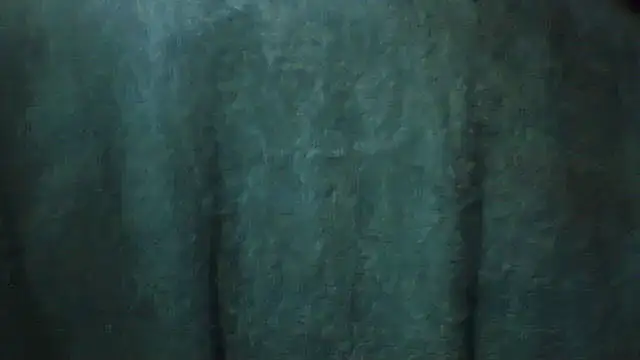 Snapshot of pietje1991 chatting on February 28, 3:46 pm pietje1991 online show from February 28, 3:46 pm