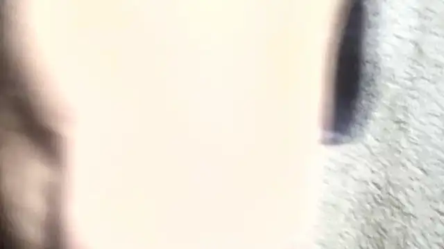 Snapshot of pietje1991 chatting on March 6, 1:18 pm pietje1991 online show from March 6, 1:18 pm