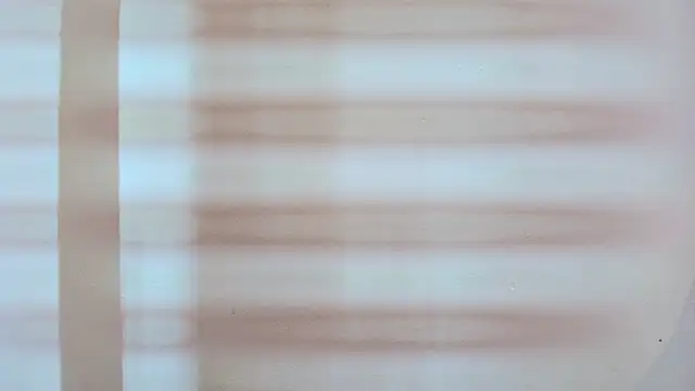 zarah andrew   online show from October 20, 12:05 pm