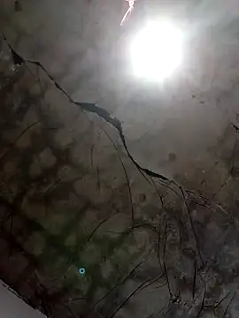 ta56vn online show from February 12, 9:59 am