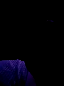 Snapshot of Thoma9034 chatting on October 23, 3:17 am Thoma9034 online show from October 23, 3:17 am