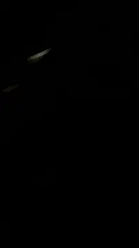Ryder  online show from July 19, 9:29 pm