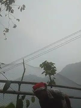 VangLe73 online show from April 5, 11:24 pm