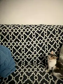 Sweet lollipop25 online show from January 11, 9:20 pm