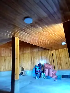 Tiyir597 online show from December 1, 3:55 am