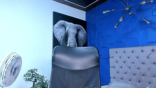 andres-clark92 online show from October 26, 6:14 pm