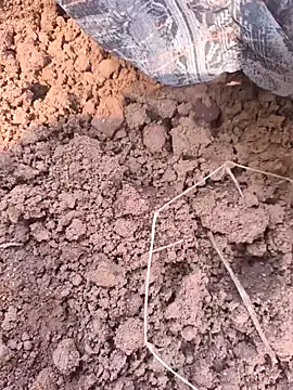 Hot raaani online show from November 7, 6:13 am