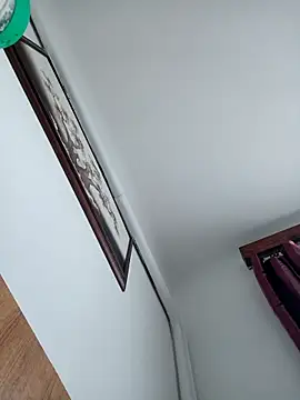 Snapshot of PavloBok chatting on October 31, 6:25 am PavloBok online show from October 31, 6:25 am