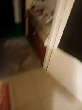 Snapshot of PavloBok chatting on February 5, 4:33 pm PavloBok online show from February 5, 4:33 pm