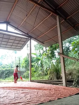 NG N online show from November 17, 12:27 am