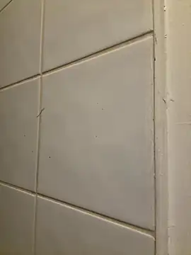 raen001 online show from November 6, 8:54 pm