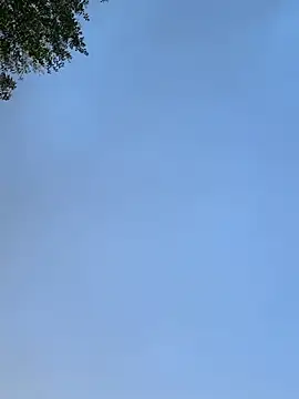 raen001 online show from November 24, 8:47 am