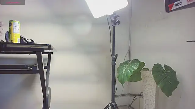 sakuramoss online show from October 24, 6:43 am