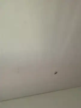 Snapshot of lana_rousse01 chatting on September 9, 2:49 pm lana rousse01 online show from September 9, 2:49 pm