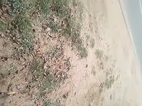 Snapshot of SAManthapathmasri chatting on November 17, 7:47 am SAManthapathmasri online show from November 17, 7:47 am