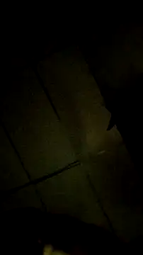 Snapshot of Bosssweet22cm chatting on March 18, 12:14 am Bosssweet22cm online show from March 18, 12:14 am