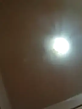 alexpo27 online show from December 22, 2:52 am