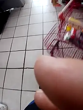 cicinha3657 online show from February 20, 6:30 pm