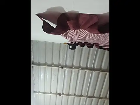 alex-golden online show from November 25, 11:05 pm