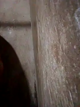 Lujor online show from March 13, 11:44 pm