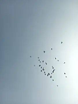 amitkumarkangra online show from December 19, 6:53 am